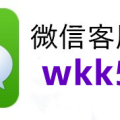 实测辅助分享“拱趴大菠萝为什么一直输”(专用神器)